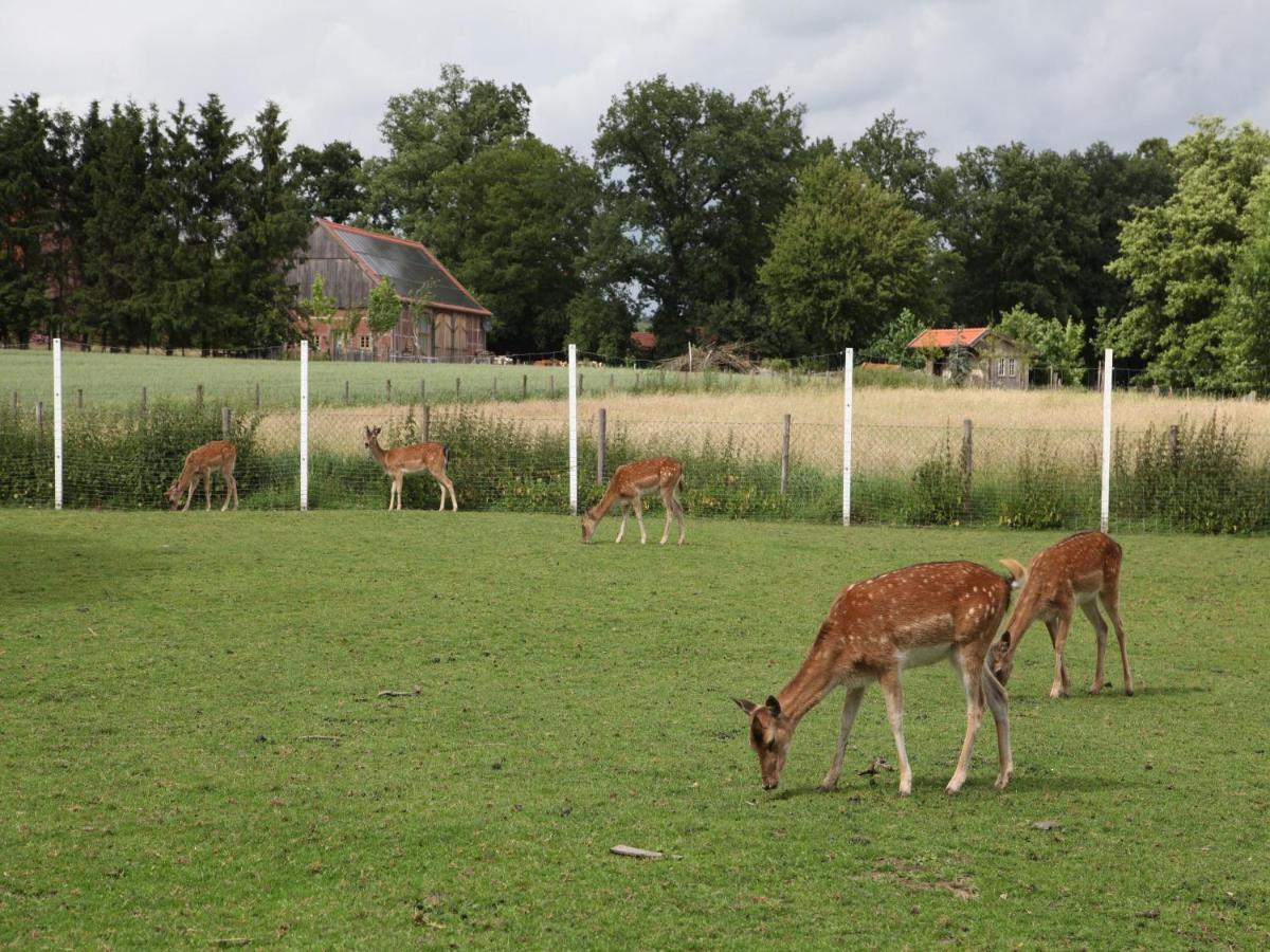 Gaeste Und Ferienhof Maas Dülmen 外观 照片